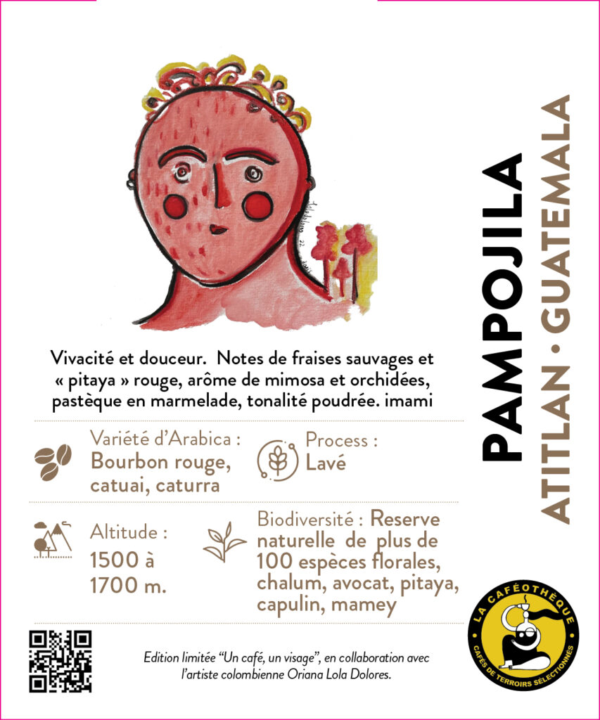 Pampojila